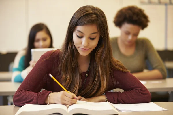 Female High School Student Studying