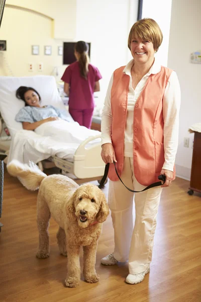 Portrait Of Pet Therapy Dog Visiting Female Patient In Hospital