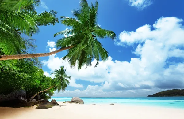 Beach on Mahe island in Seychelles