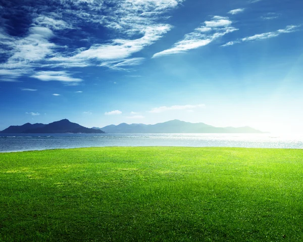 Grass and sea in sunset time