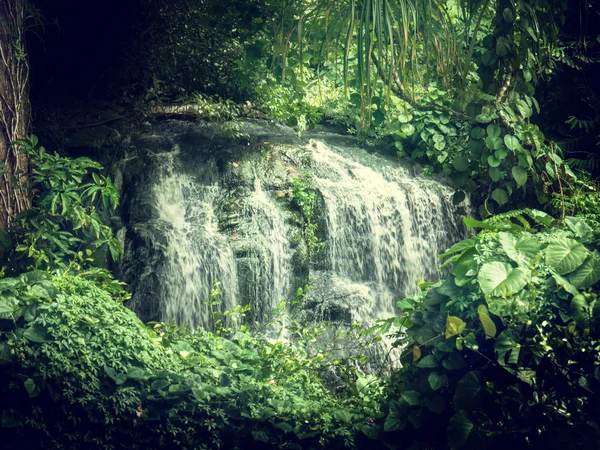Waterfall in jungles of Seychelles, Mahe island