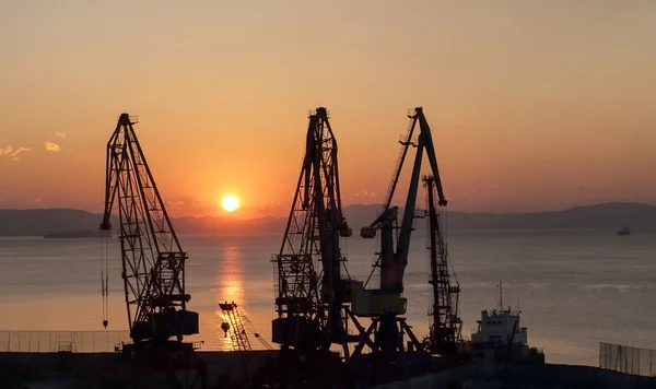 Port cranes on a background of rising sun