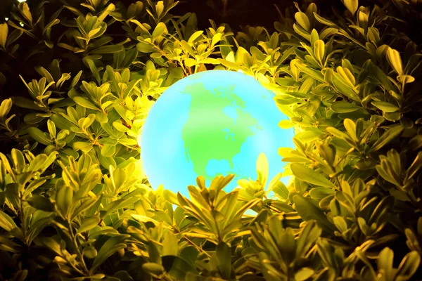 Glowing Earth through leaves and branches