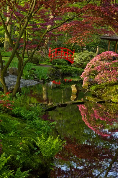 Japanese garden with bridge