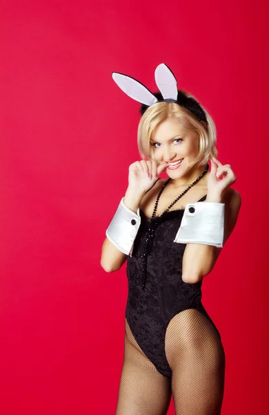 Young beautiful woman in rabbit costume
