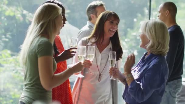 聊天 & 在聚会喝酒的朋友 - 图库视频影像 Hot