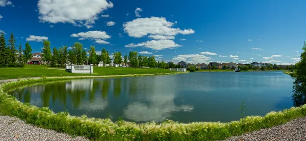 Beautiful pond in expensive neighborhood