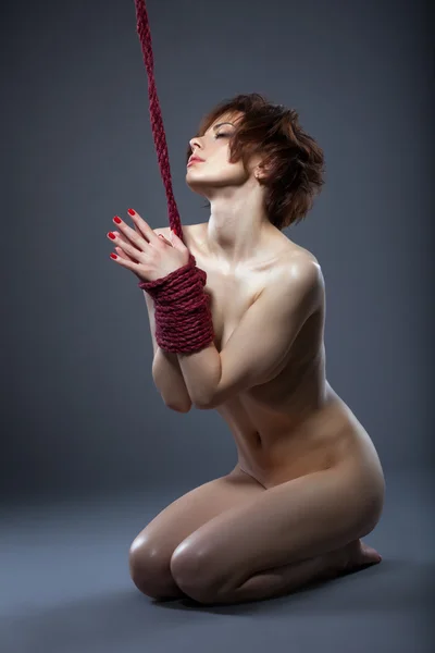 Sensual nude model posing tied with rope