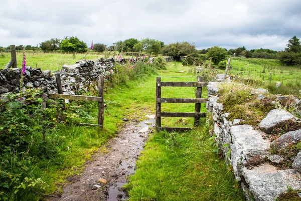 Footpath leading through a gate across Bodmin Moor