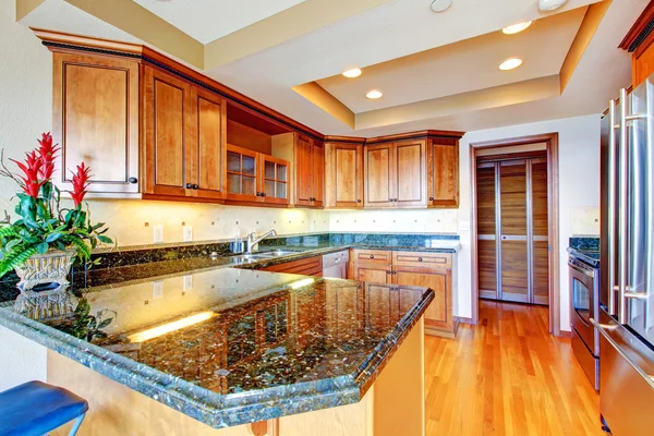 Luxury apartment wood kitchen with granite countertop.