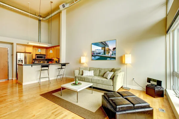 Modern loft apartment living room interior with kitchen.