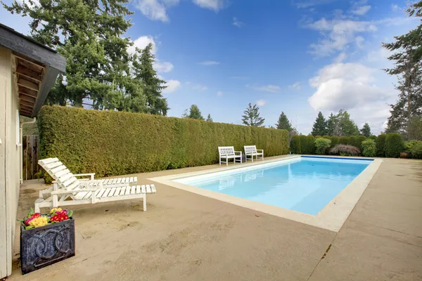 Backyard swimming pool surrounded by hedge trim
