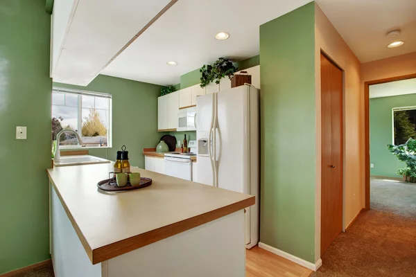 Simple mint kitchen interior in empty house