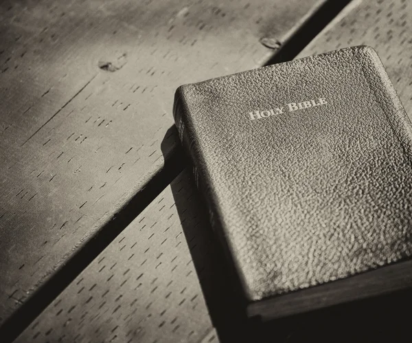 Abandoned Holy Bible