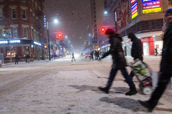 Toronto Under a Snowfall