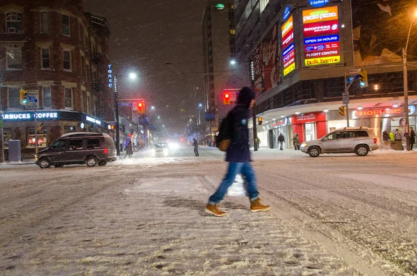 Toronto Under a Snowfall