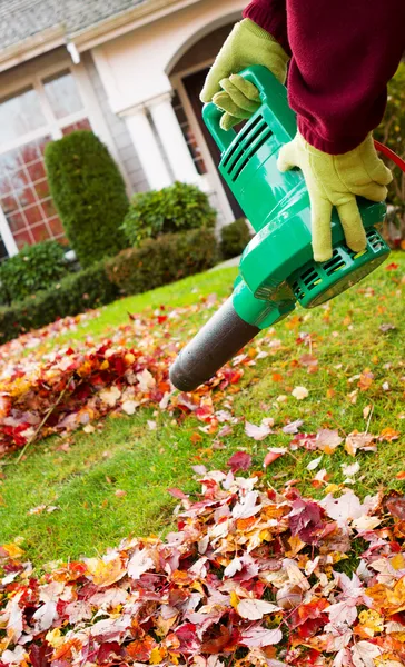 Electrical Blower Cleaning Leaves from Front Yard during Autumn
