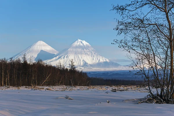 Klyuchevskoy Volcano and Kamen Volcano on the Kamchatka Peninsula