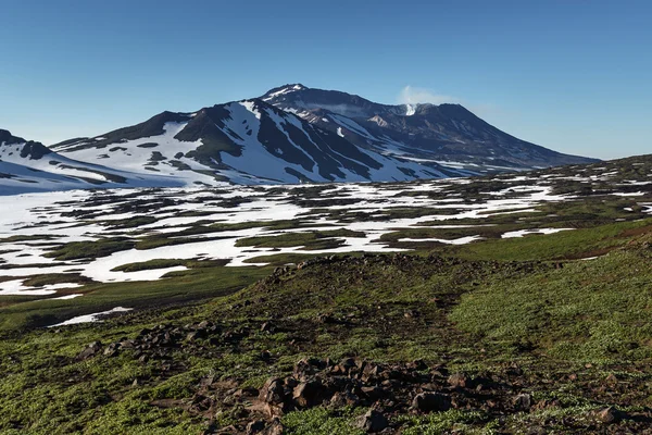Landscape of Kamchatka: Mutnovsky Volcano