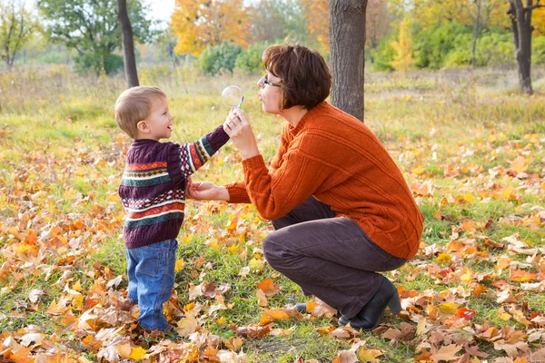 Boy with his mother in autum park