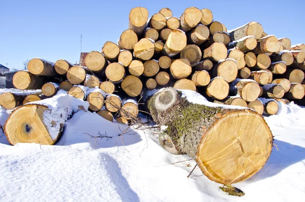 Firewood stack on winter snow