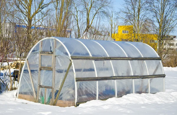 Handmade polythene greenhouse for vegetable in winter on snow