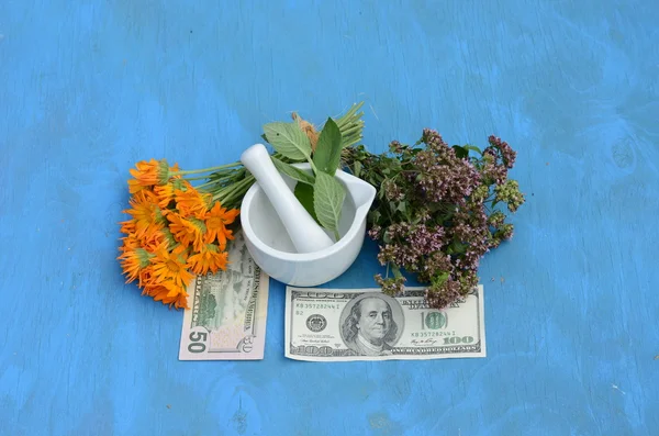 Herbal medicine and money concept - health is money