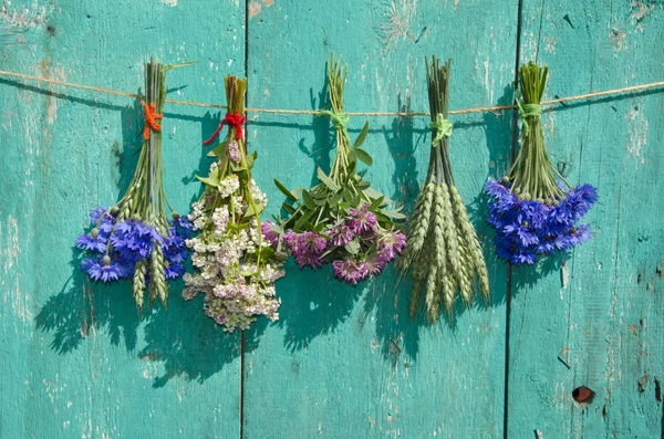 Medical flowers and cereal plants bunch on old wooden wall