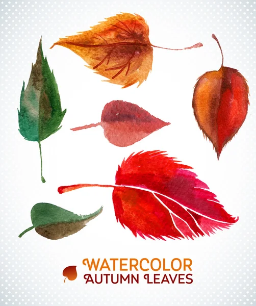 Watercolor autumn leaf set. Vector illustration Collection of watercolor hand drawn leaves.