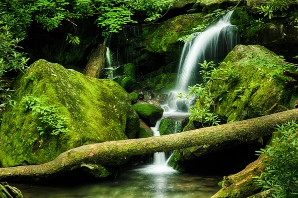 Grotto Falls, Great Smoky Mountain National Park