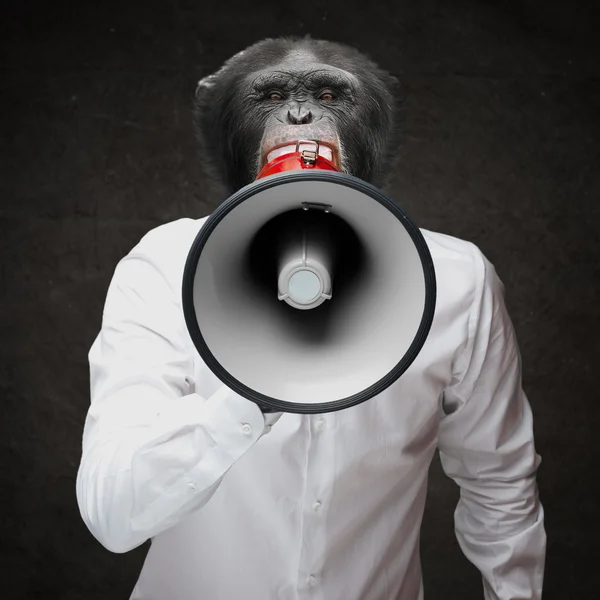 Man With Monkey Head Shouting Through Megaphone