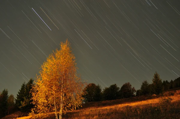 Star trails