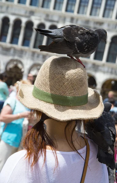 Pigeon sitting on the head of the girl