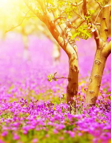 Sunny fruit tree garden