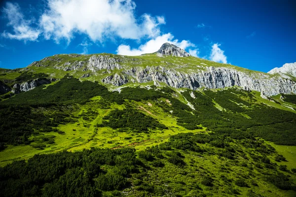 Beautiful green mountain