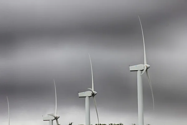 Wind energy windmills in a dark storm, electric generators