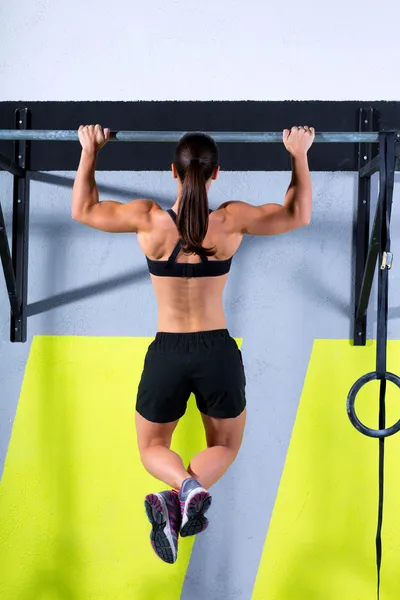 Crossfit toes to bar woman pull-ups 2 bars workout