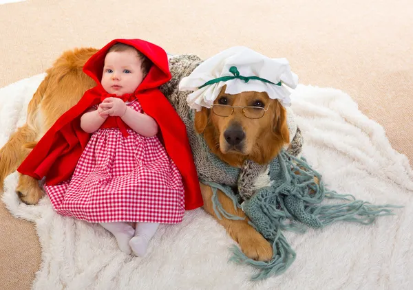 Baby Little Red Riding Hood with wolf dog as grandma