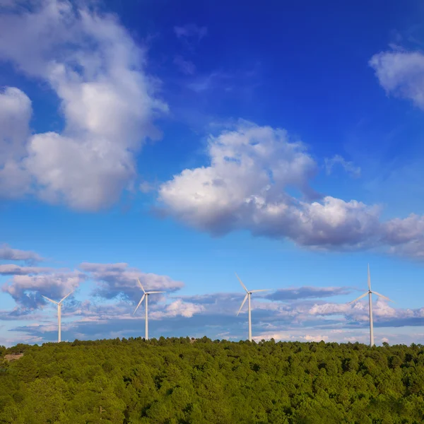 Windmills green electric energy in pine mountain blue sky
