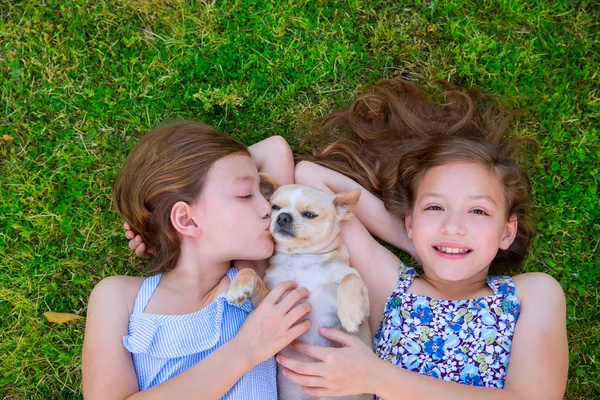 Twin sisters playing with chihuahua dog lying on lawn