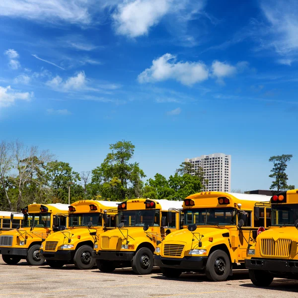 American typical school buses row in a parking lot