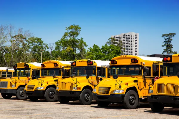 American typical school buses row in a parking lot