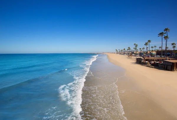 Newport beach in California with palm trees