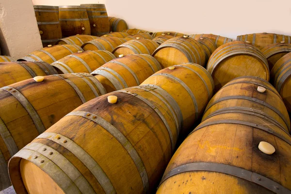Wine wooden oak barrels in winery