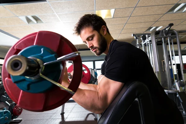 Biceps preacher bench arm curl workout man at gym