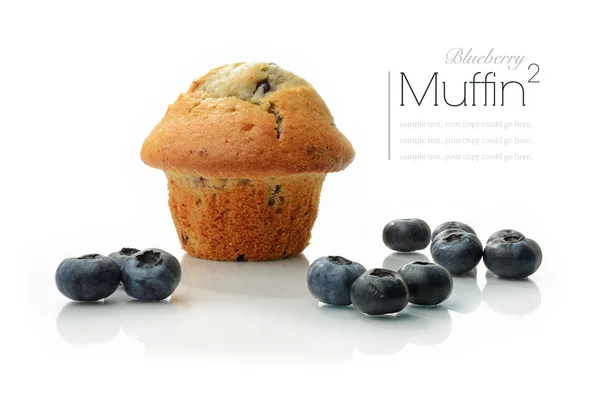 Blueberry Muffin II