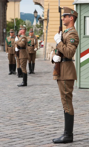 Guard at the Presidential palace in Budapest, Hungary.