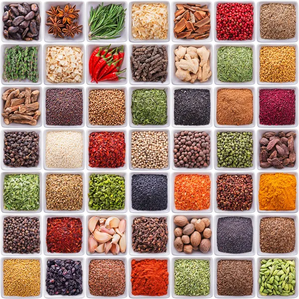 Large collection of different spices and herbs
