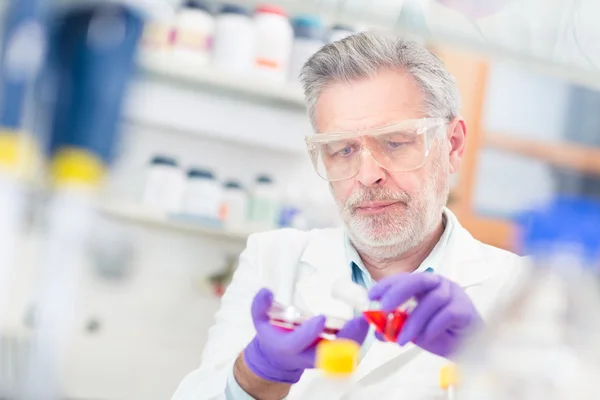 Life scientist researching in the laboratory.