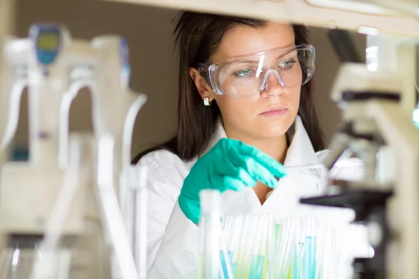 Young chemist in the laboratory.